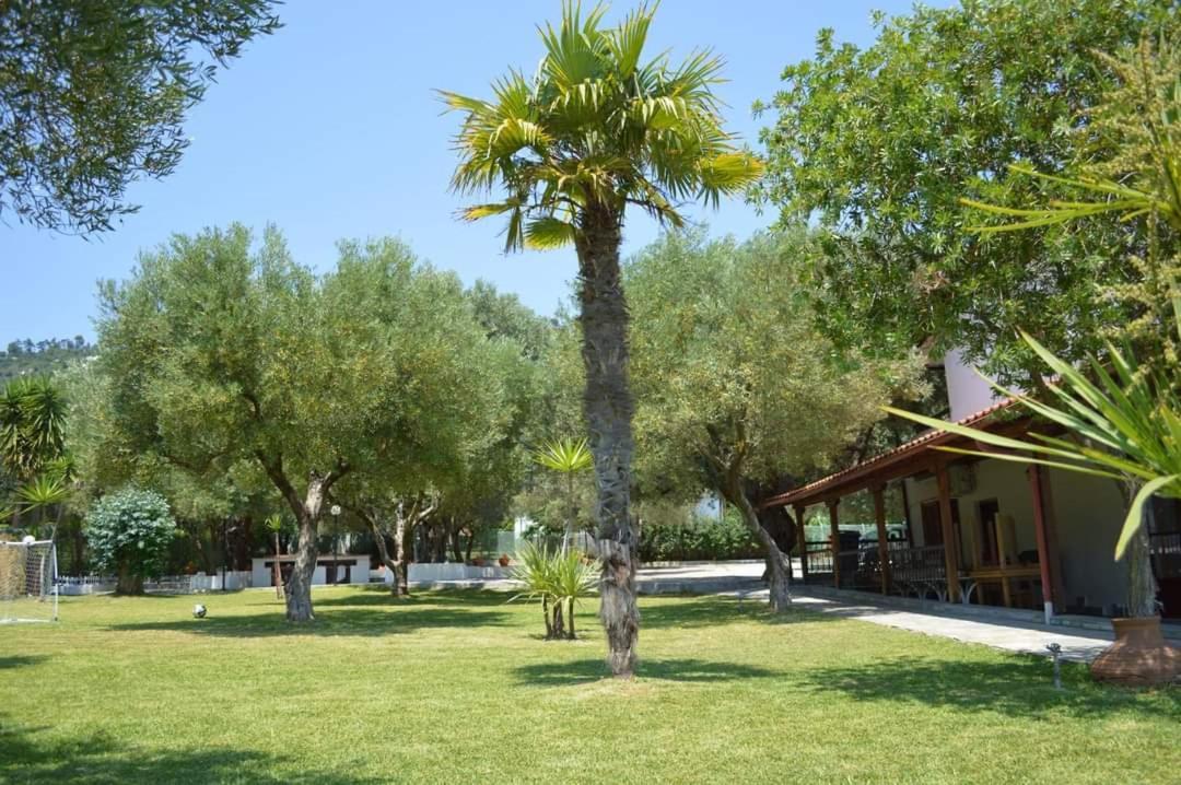 מולה קליבה Delfino Hotel מראה חיצוני תמונה